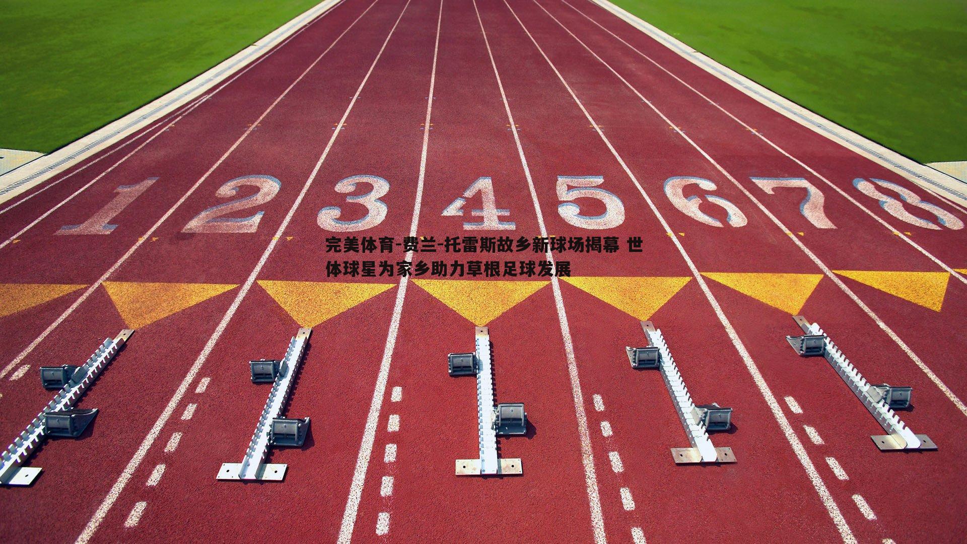 完美体育-费兰-托雷斯故乡新球场揭幕 世体球星为家乡助力草根足球发展
